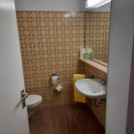 Ferienwohnung In Ludwigsreut Mit Eigenem Balkon Apartament Haidmühle